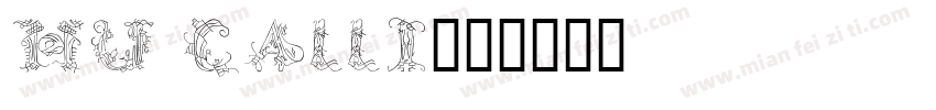 Hu Calli字体转换
